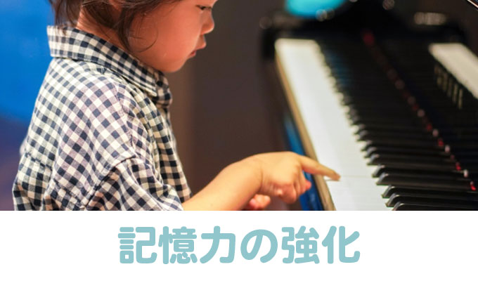 記憶力の強化